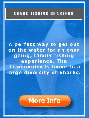 Shark Fishing Charters Hilton Head Island, SC 